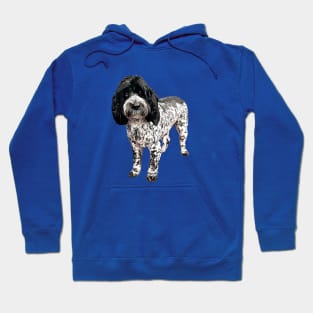 Cockapoo Cockerpoo Spoodle Blue Roan Hoodie